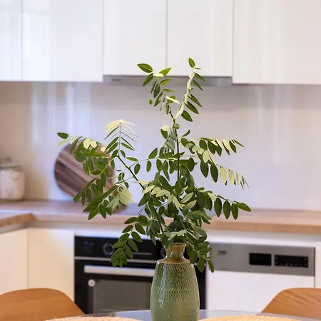 Appartement Magdalini